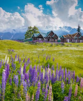 Gulmarg